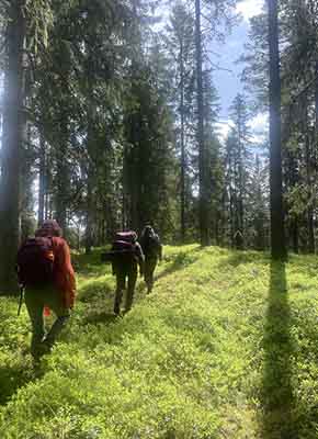 Turfølge skogsbad